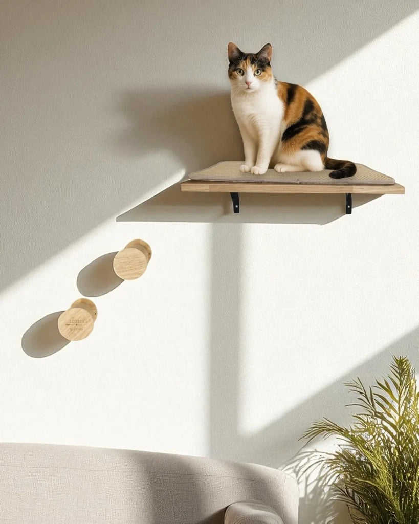 Scaffale per gatti Coral