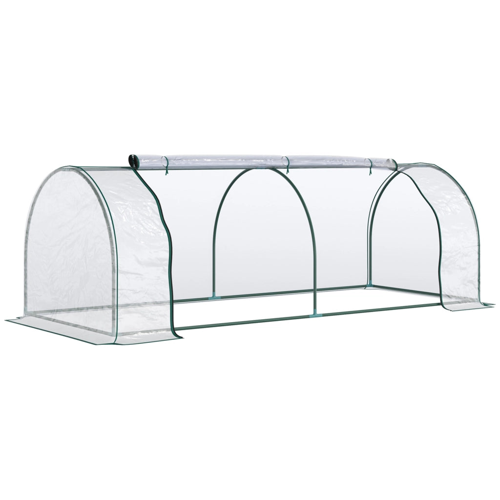 SERRA Da giardino 250x100x80 cm Plastica Trasparente