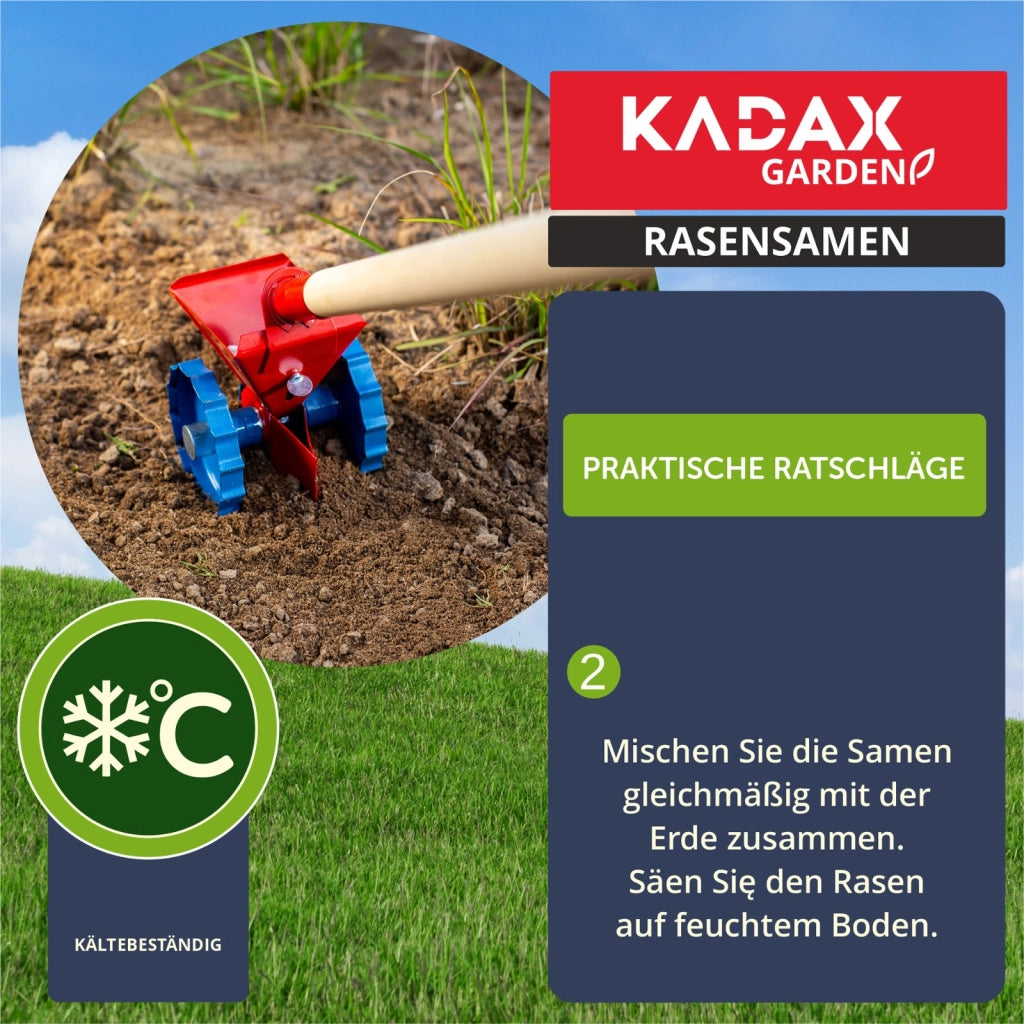 Semi per prato KADAX 15 kg Universali Autocompattanti Resistenti al calpestio 600 m²