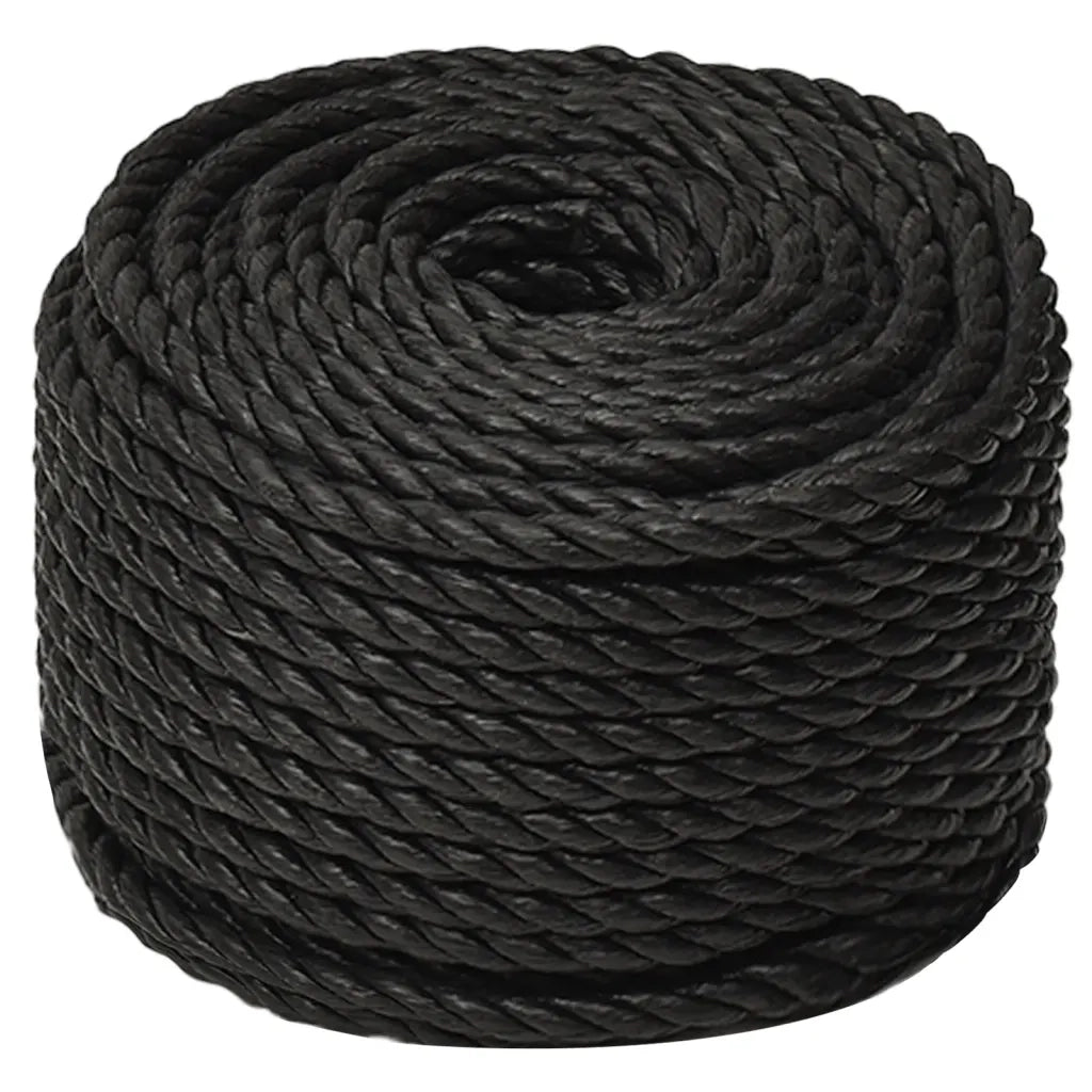 Corda da Lavoro Nera 14 mm 25 m in Polipropilene 153021