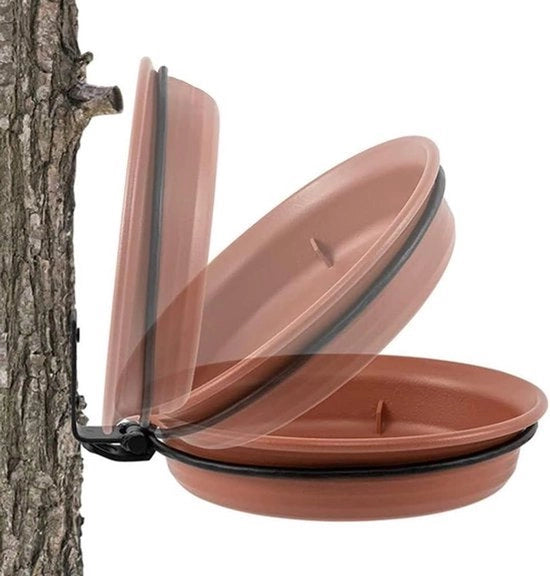 Stazione alimentare per uccelli e vasca idromassaggio - Casa alimentare per uccelli - Decorazione giardino - Alimentatore per uccelli - 2 pezzi - Balcone - Circolare - Sostegno a parete - Adatto per uccelli selvatici - Grigio con accenti marroni