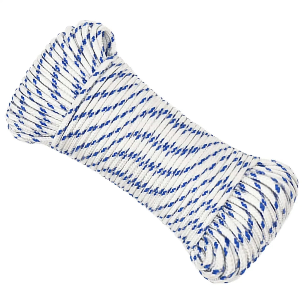 Corda multiuso 5 mm 25 m Bianco e Blu PP 150 kg Carico massimo 3473153