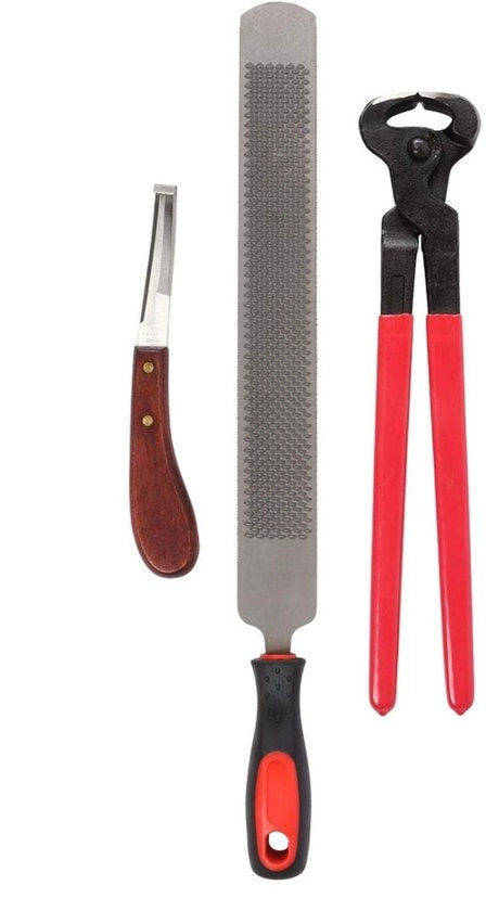 Kit di strumenti per la cura delle zampe del cavallo - Professionale attrezzatura per ferratura - Inclusa lama e taglia unghie - Metallo - Per appassionati di cavalli