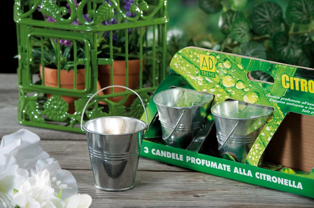 Citronella c secchiello set 3 pezzi 7 cm ad