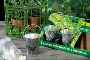 Citronella c secchiello set 3 pezzi 7 cm ad