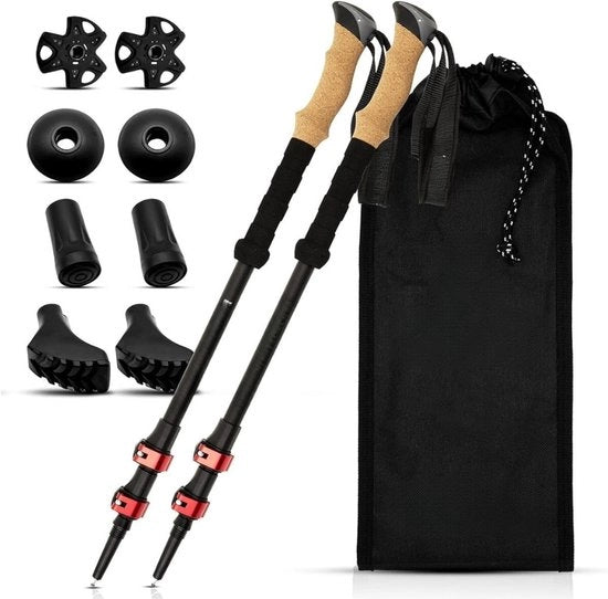 Stanghe da Nordic walking