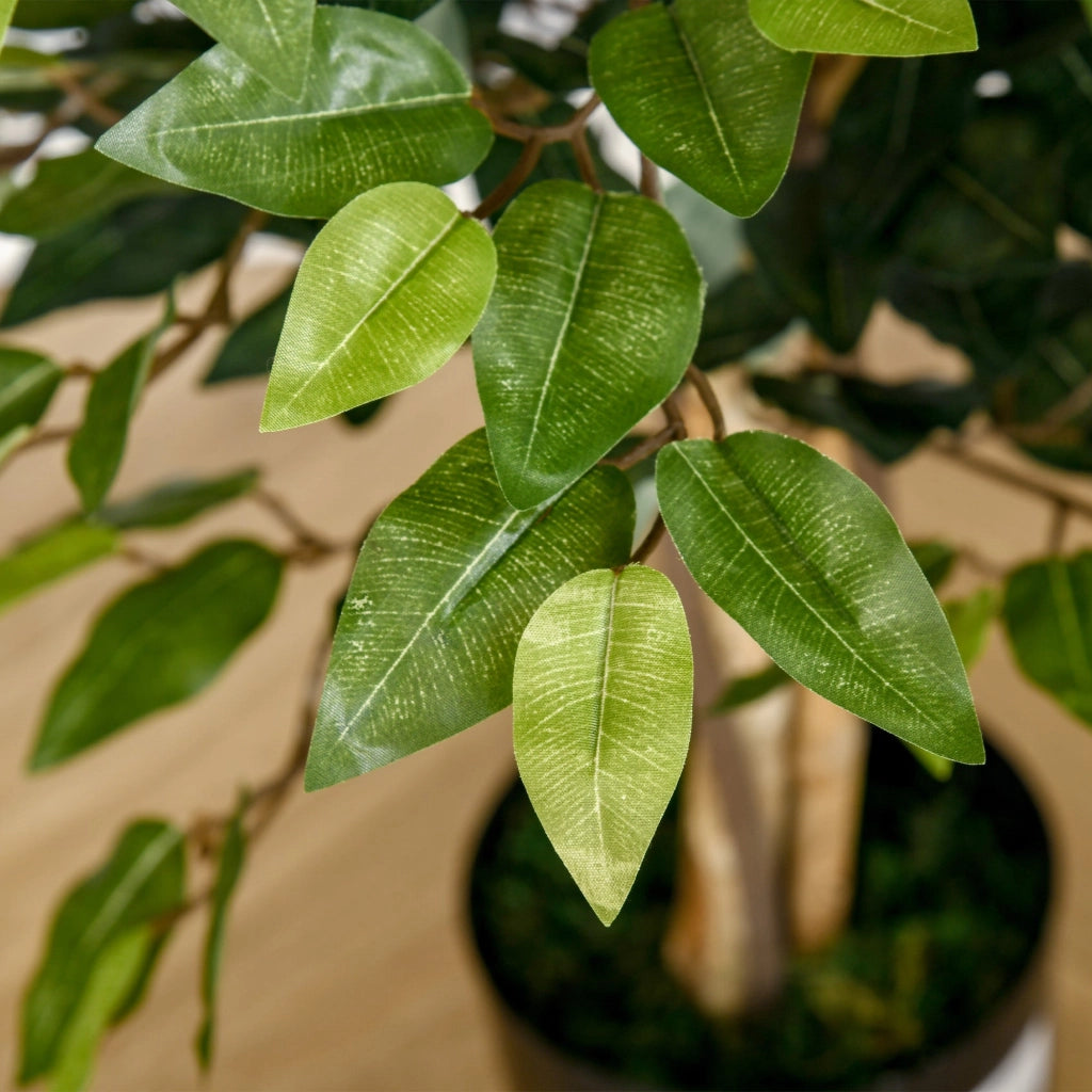 Pianta Artificiale di Ficus H150 cm con Vaso Verde