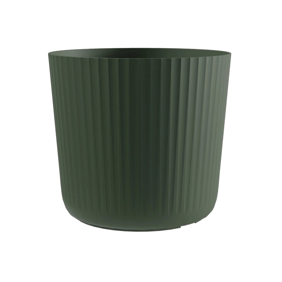 Vaso Nova FOREST-Cheonda Taglia: 31
