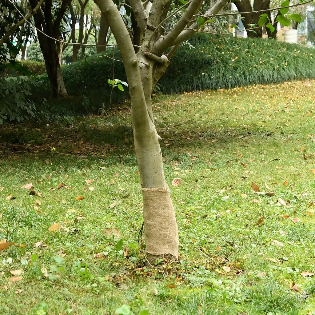 Rete in juta per giardino 25 cm x 50 m 180 gsm 100% Juta Tossa 155793