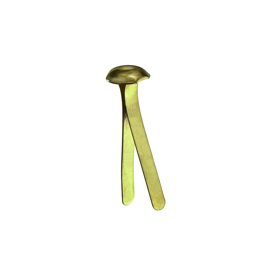 Ferma campioni acciaio ottonato 17 mm. - 50 pz.