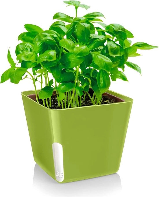 Piatto Quadrato Verde - 13 x 11 cm per Piante, Fiori e Erbe - Ideale per Giardino, Terrazza e Balcone