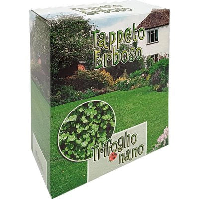 SEME PRATO TRIFOGLIO REPENS NANO - GR 500- 2 pezzi