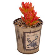 Vaso con cactus artificiale 10x10x17h