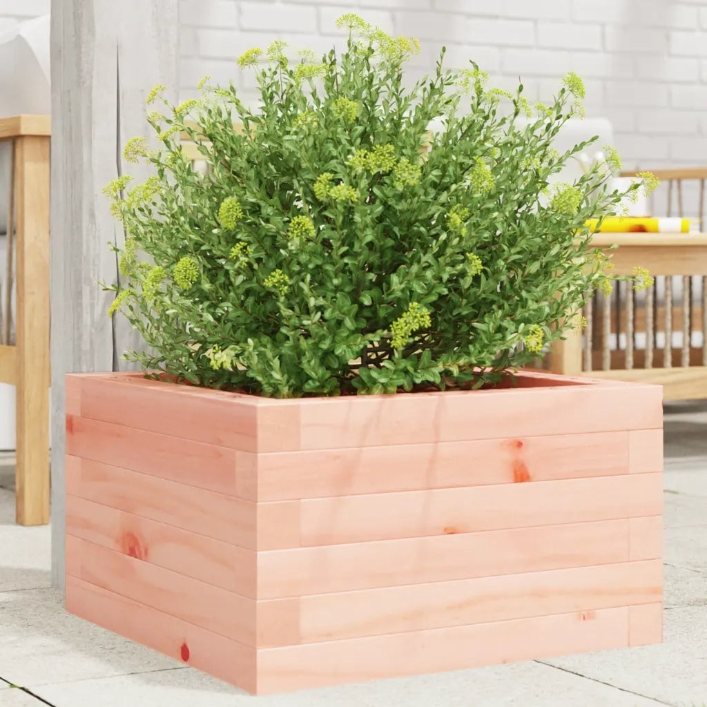 Fioriera da Giardino 40x40x23 cm in Legno Massello di Douglas 847181
