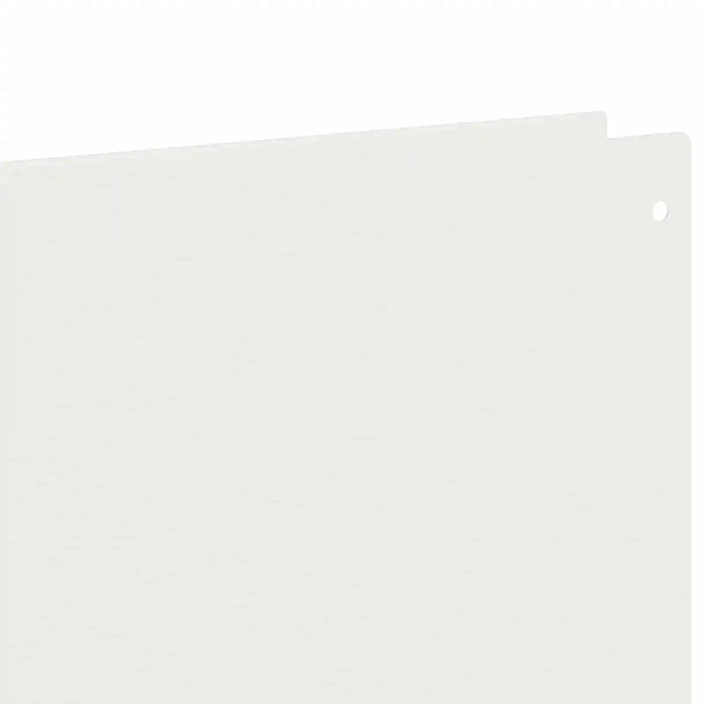 Bordura per Prato 20 pcs 100 x 12 cm Acciaio Bianco 8008789