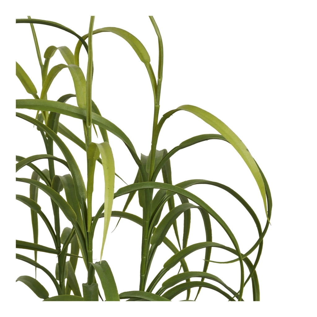 Pianta Artificiale Grass, Verde, Plastica, 36x36x89 cm