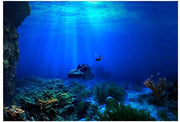 Decorazione per Acquario in PVC - Adesivo Idrorepellente - Sticker Decorativo per Acquario - Dimensioni 61 x 30 cm