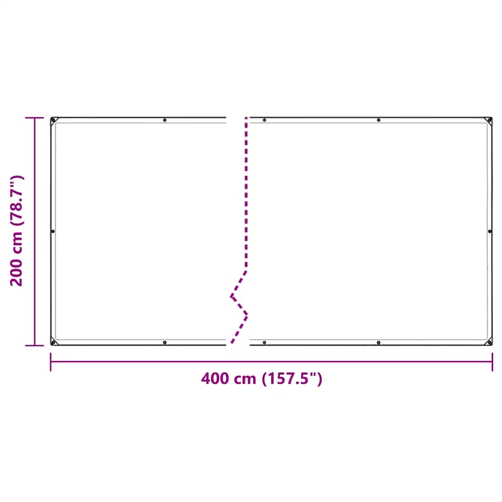 Telone Trasparente con Occhielli 2x4 m in PVC 4018593