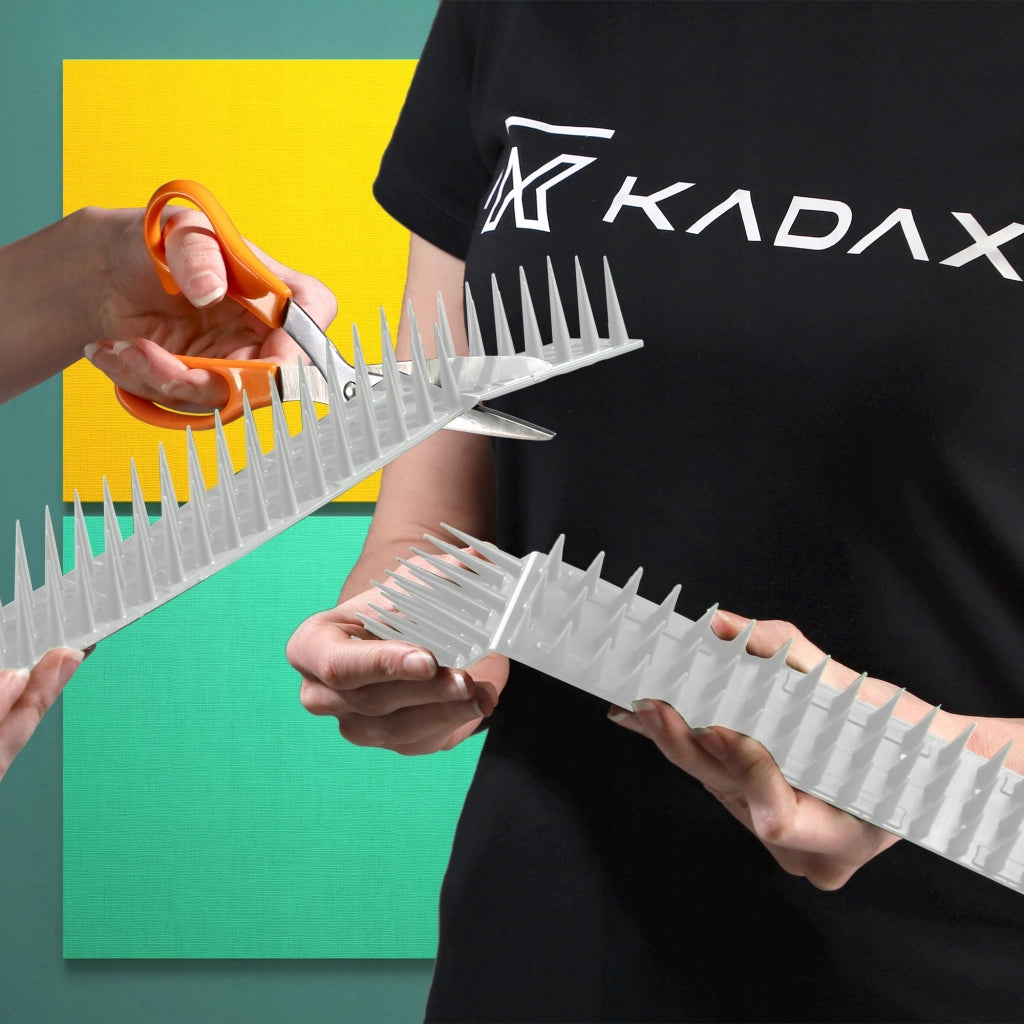 Punte anti-piccioni KADAX, 51 cm, in plastica densa e resistente, 24 pezzi