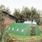 Serra a tunnel 6 x 3 m con 8 finestre e porta avvolgibile