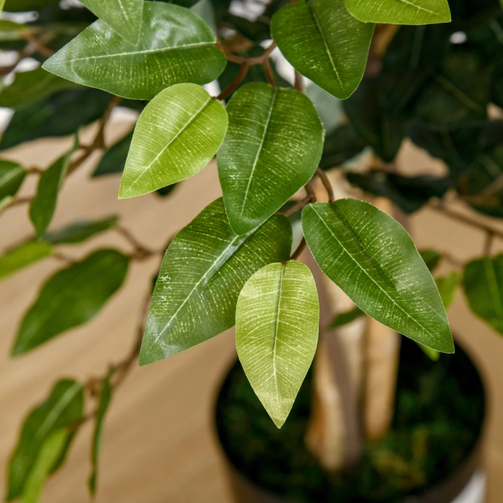 Ficus artificiale 150 cm verde, vaso incluso senza montaggio