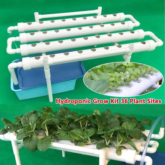Tavolo di coltivazione - Kit di coltivazione - Tavolo di giardino - Sistema di coltivazione idroponica - Sistema idroponico - 36 postazioni per piante