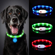 Cinturino di sicurezza per cani