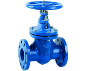 SARACINESCA IN GHISA CORPO OVALE PN16 DN50