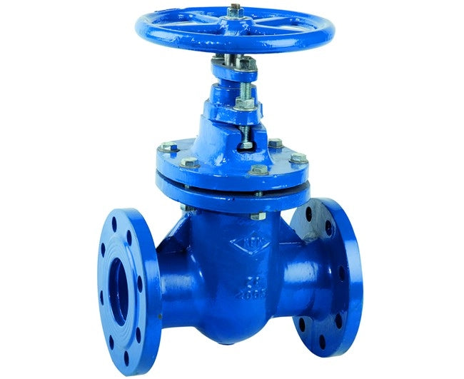 SARACINESCA IN GHISA CORPO OVALE PN16 DN50