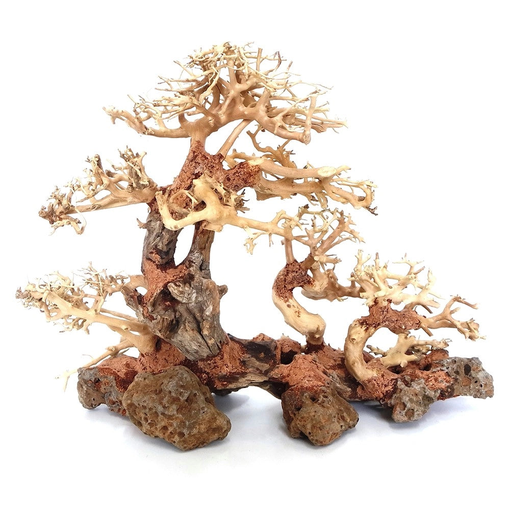 DecorLine Triple Bonsai Wood misura Large cm40x30x18h