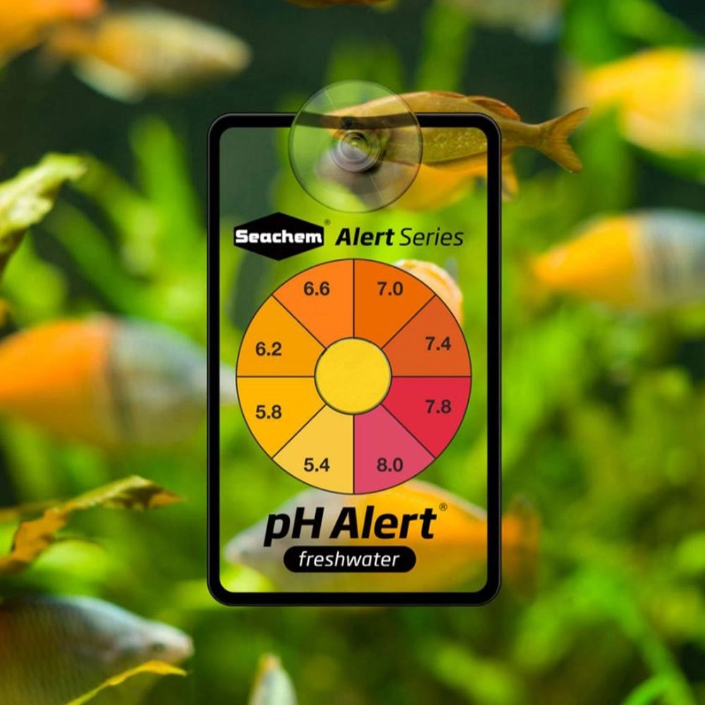 Seachem PH Alert 6 mesi per Acqua dolce