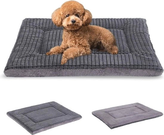 Hangmat in cotone per 2 persone - 250 cm - Comodo e stile