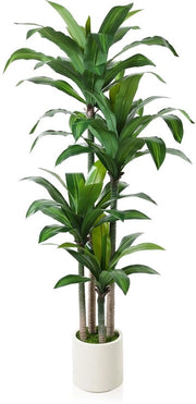 Pianta artificiale Dracaena Fragans 180cm, grande pianta artificiale, pianta in plastica, pianta tropicale per decorazione di casa, ufficio e giardino (1 confezione)