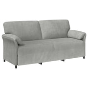 Divano | Divano da soggiorno | Sofa 3-Persone Grigio Chiaro 198 x 83 x 95 cm Velluto
