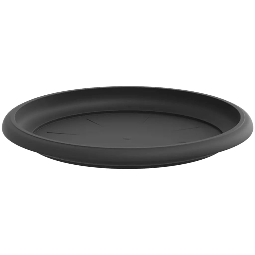 Vassoio Rotondo per Fiori 6 pz Nero ? 17,5 x 2 cm Plastica CFW9107709