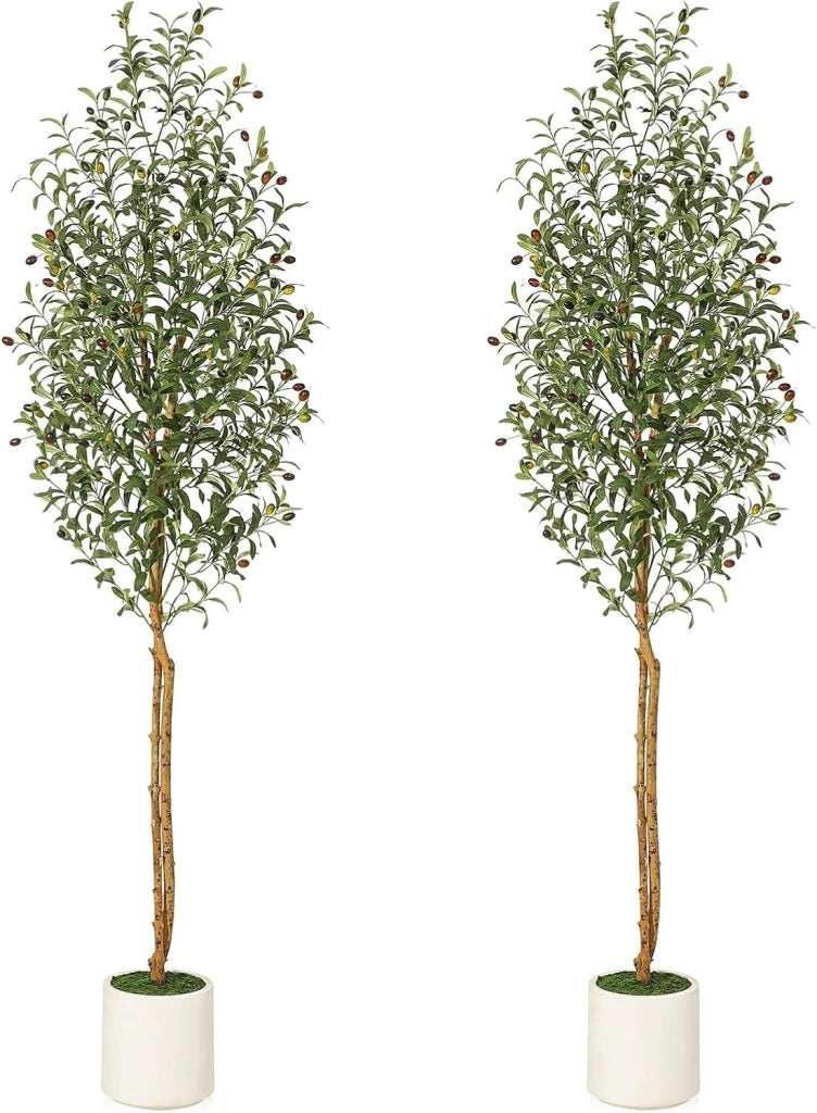 Set 2 Piante di Olivo Artificiale 210 cm con Tronco Naturale e Vaso Bianco