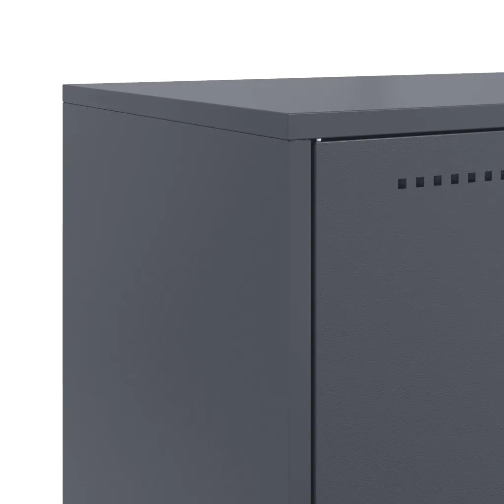 Credenza | Madia | Buffet da pranzo | Armadio da pranzo Antracite 68,5x38,5x123,5 cm in Acciaio