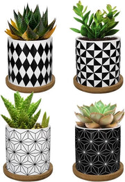 Mini vasi per piante in ceramica, 4 pezzi