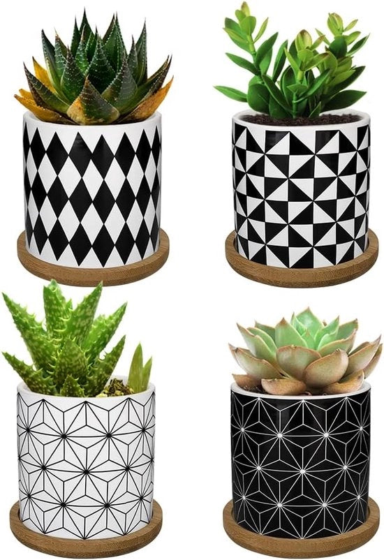 Mini vasi per piante in ceramica, 4 pezzi