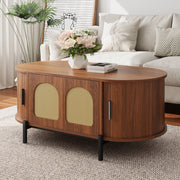 Tavolino basso fisso ovale con ante scorrevoli e anta in rattan MDF color noce con gambe in metallo 100 × 50 × 40 cm