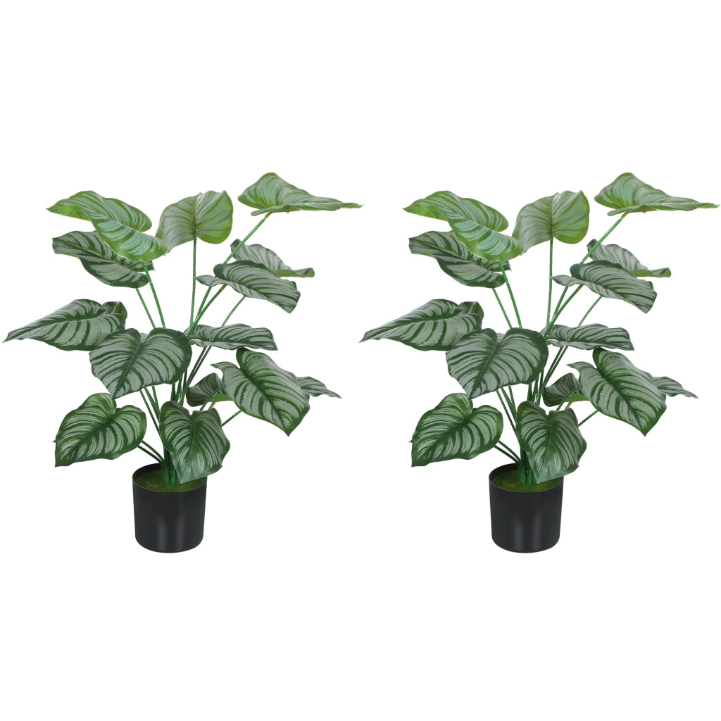 Pianta Artificiale da Interno 65cm ¨C Xylo ¨C Set 2 Pezzi con Vaso Plastica Verde