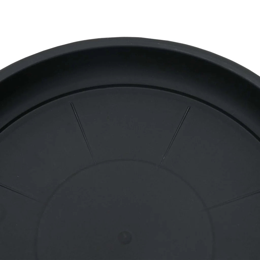 Vassoio Rotondo per Fiori 6 pcs Nero Ø 14 x 2 cm Plastica 42020306