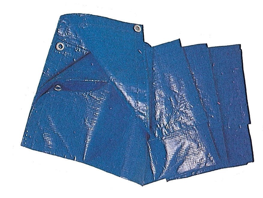 C TELO OCCHIELLATO PE 5 X 6M 85GR BLU- 1,0 pz