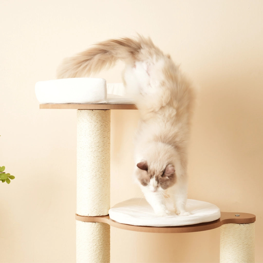 Tiragraffi per gatti a 3 livelli con cuccia colonne da 12 cm cuscini rimovibili MDF marrone bianco 60 × 48 × 135 cm