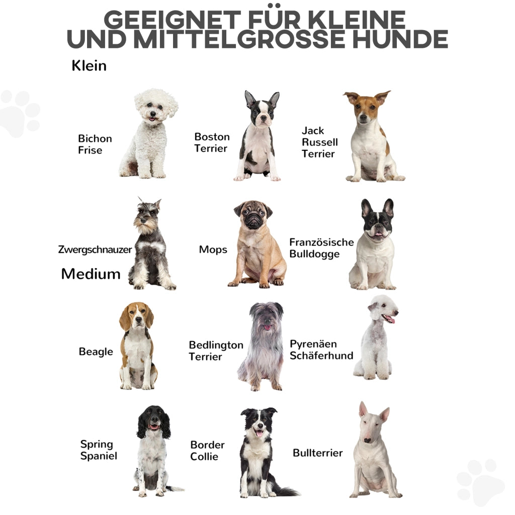 Cancelletto pieghevole per cani in legno di pino e acciaio con piedi di supporto naturale 432 × 36 × 70 cm