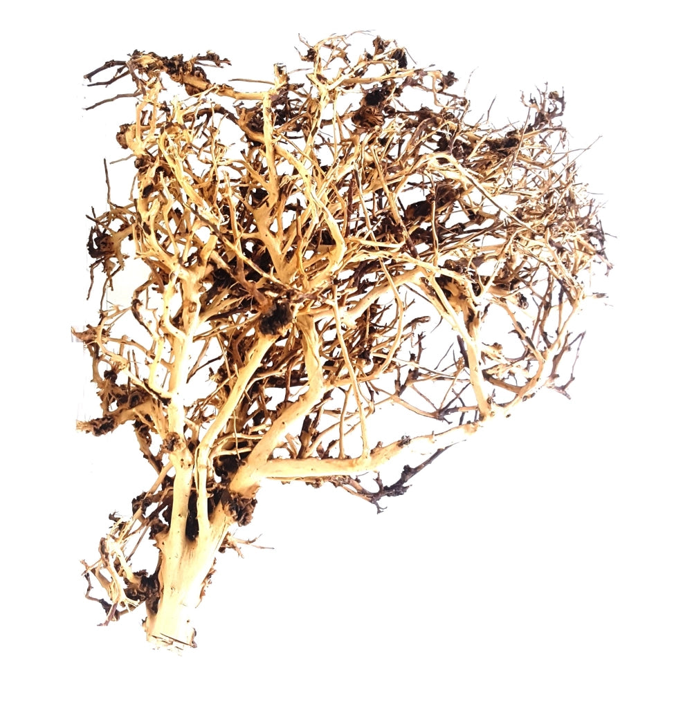 Whimar Tiny Ramous Wood Foto Indicativa - Legni naturali ad elevata ramificazione per Aquascaping Modello: L (30-50cm)