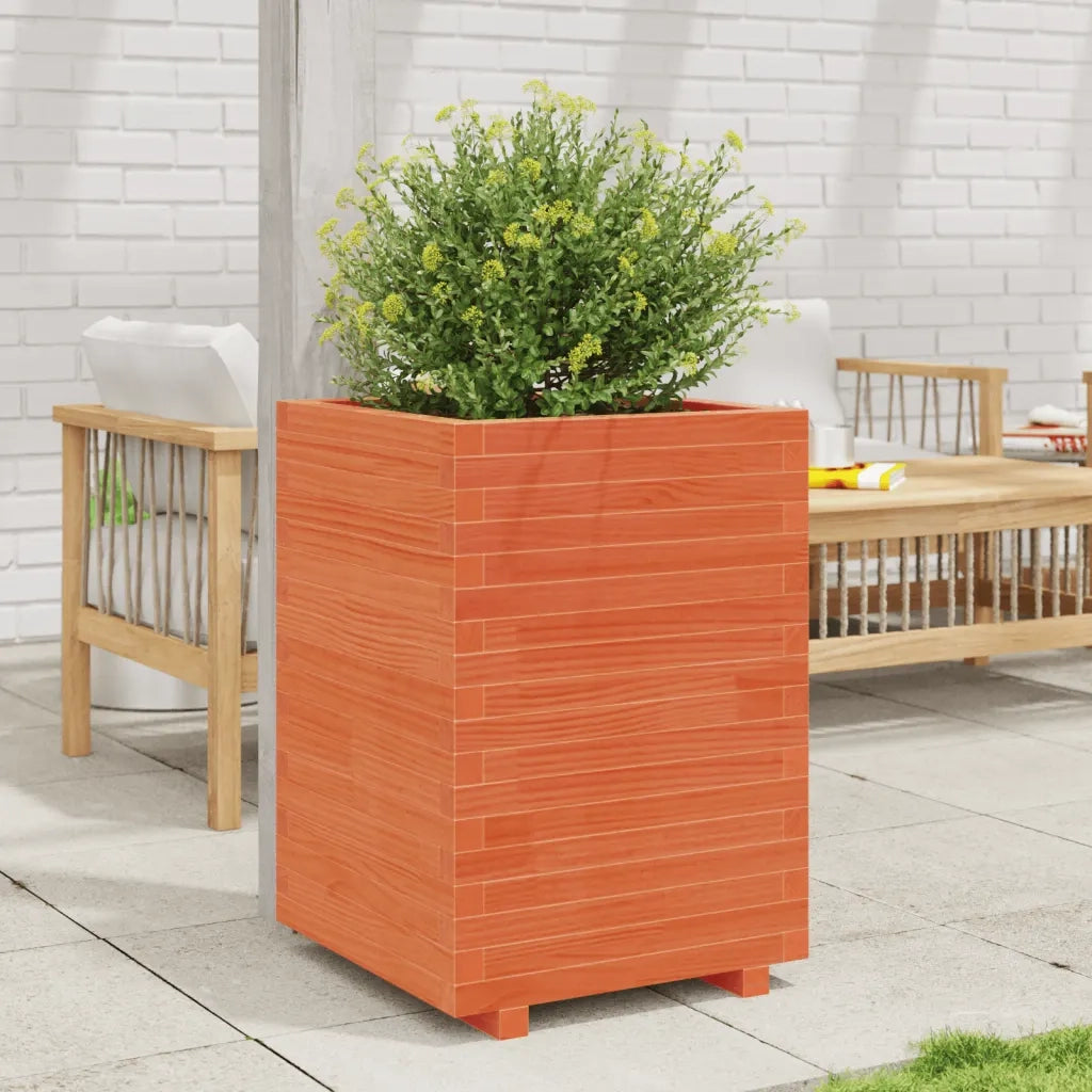 Fioriera | Cassetta per fiori | Vaso Giardino Marrone Cera 50x50x72,5cm Legno Massello Pino