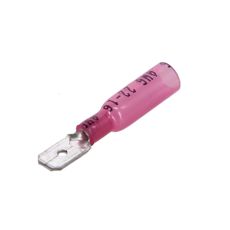 TERMINALE MASCHIO TERMO ROSSO 100PZ