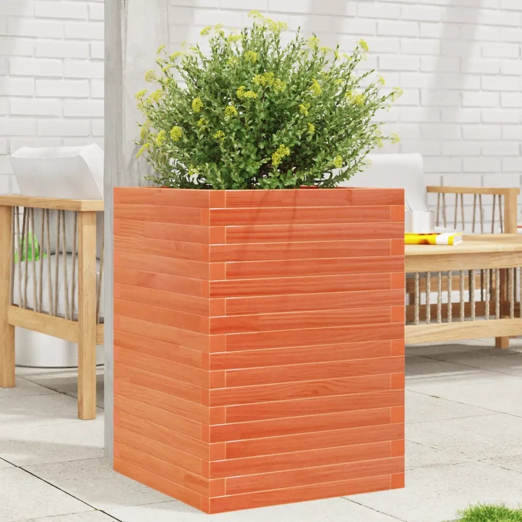 Fioriera | Cassetta per fiori | Vaso Giardino Marrone Cera 50x50x68,5cm Legno Massello Pino