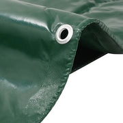 Telone 650 g/m2 3x4 m Verde